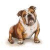 flat750x075f pad750x1000f8f8f8 6 - English Bulldog Gifts UK